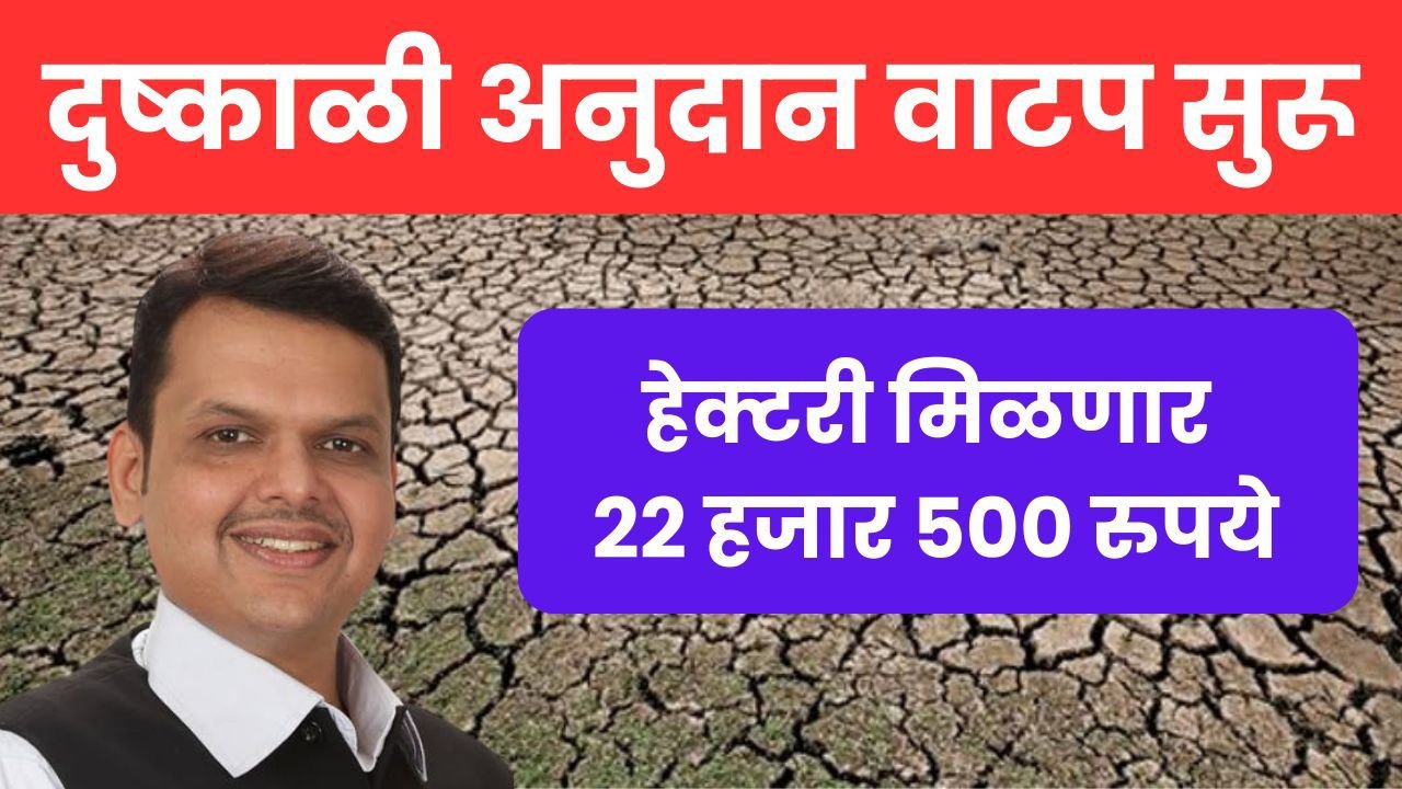 Drought subsidy : दुष्काळी अनुदान वाटप सुरू, 22 हजार रुपये प्रति हेक्टर मिळणार.