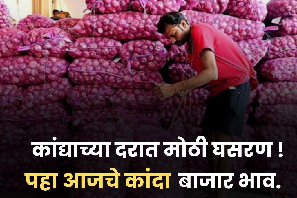 Maharashtra onion price : कांद्याच्या दरात मोठी घसरण ! पहा आजचे कांदा बाजार भाव. 