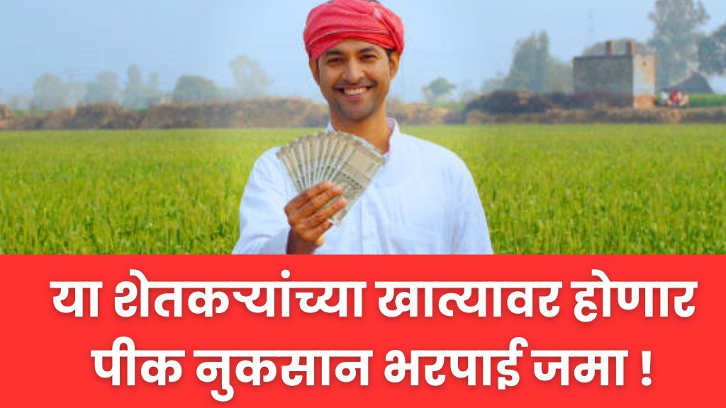 Compensation grant status : या शेतकऱ्यांच्या खात्यावर होणार पीक नुकसान भरपाई जमा ! ई केवायसी केली आहे का पहा.