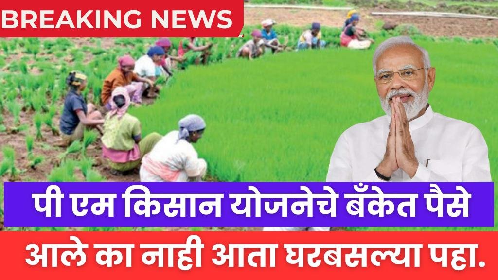 पी एम किसान योजनेचे बँकेत पैसे आले का नाही आता घरबसल्या पाहू शकता. Pm Kisan check status 